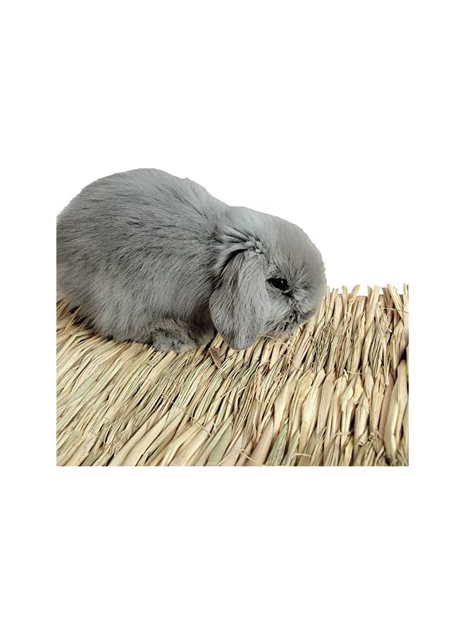 Grass Mat Woven Bed Mat for Small Animal Bunny Bedding Nest Chew Toy Bed Play Toy for Guinea Pig Parrot Rabbit Hamster Rat(Pack of 3) - Image 3